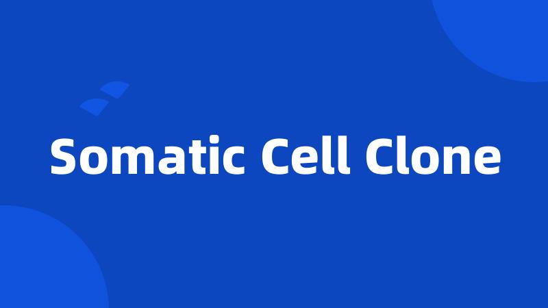 Somatic Cell Clone