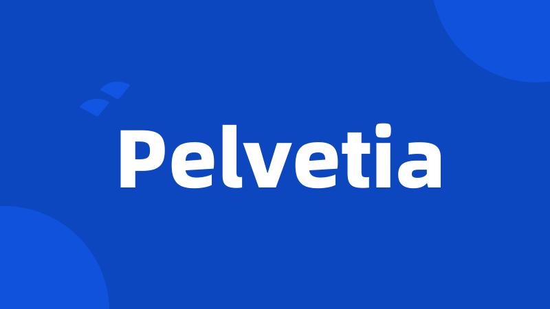 Pelvetia