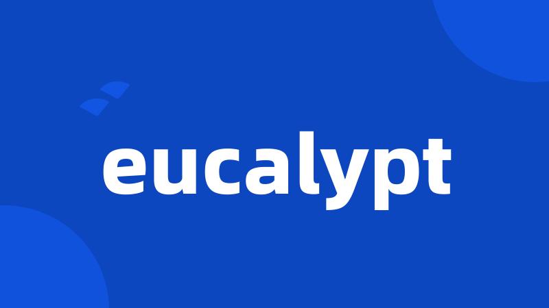 eucalypt