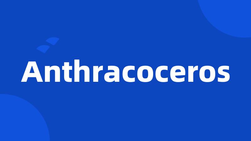 Anthracoceros