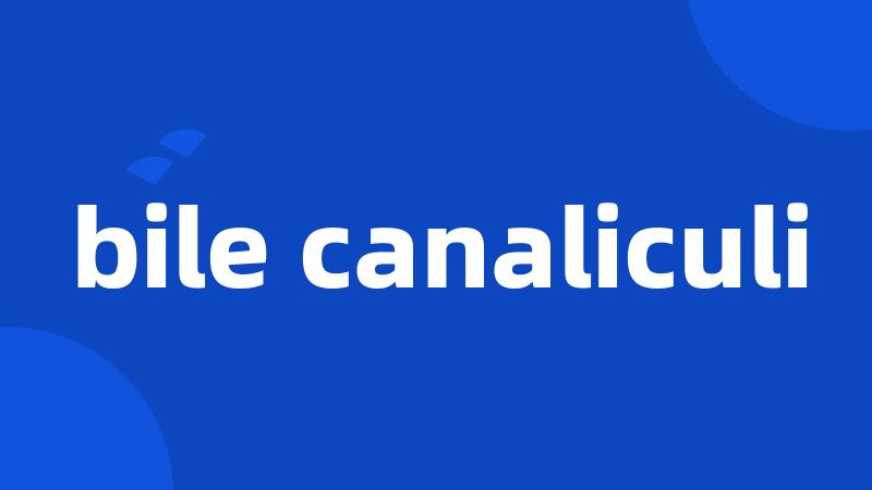 bile canaliculi