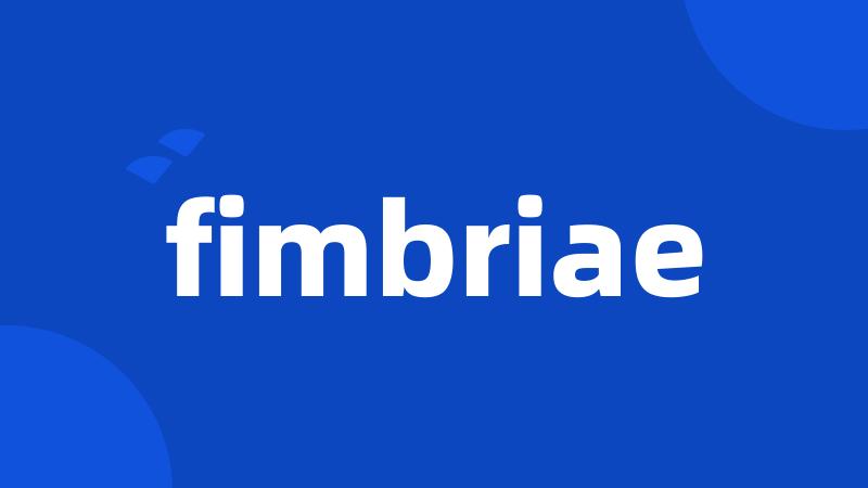 fimbriae