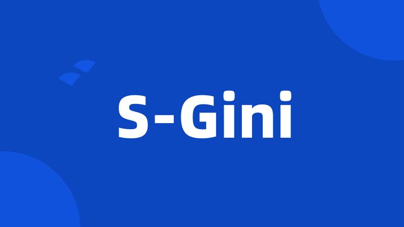 S-Gini