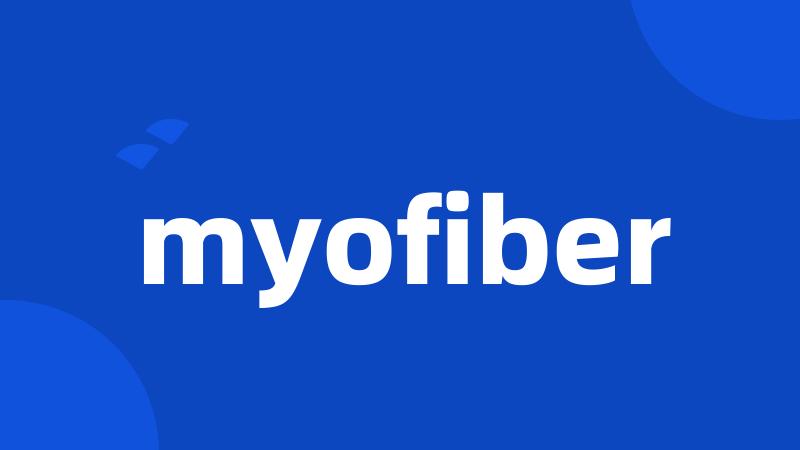 myofiber