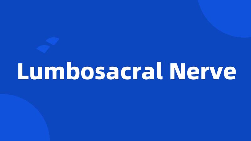 Lumbosacral Nerve