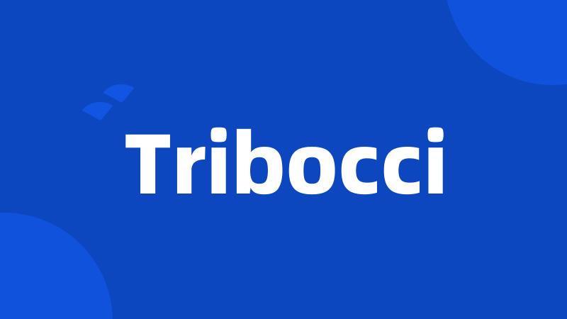 Tribocci