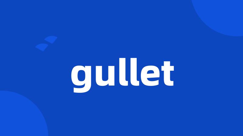 gullet