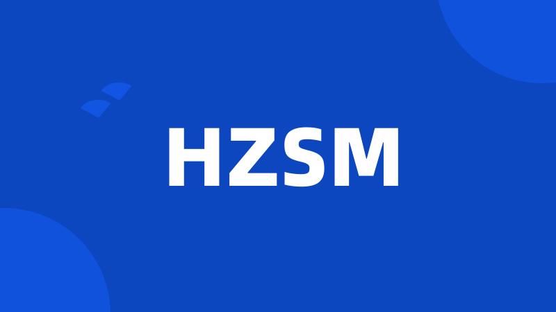 HZSM