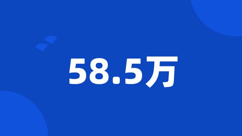 58.5万