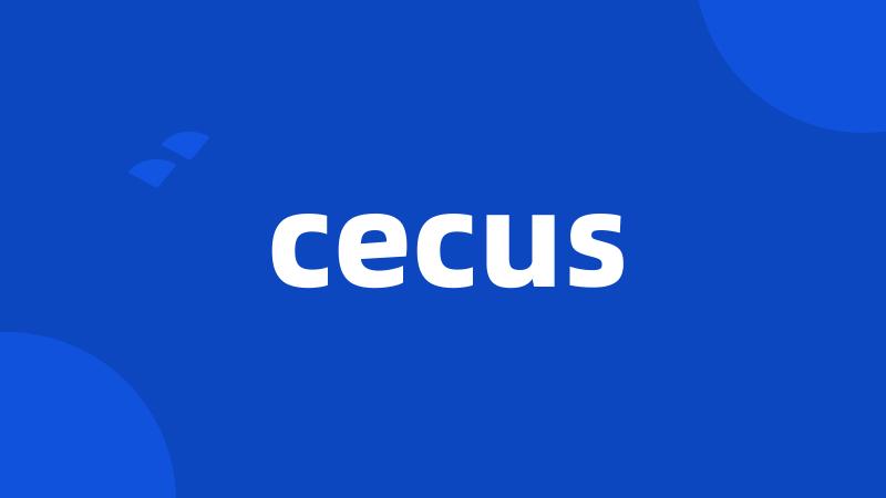 cecus