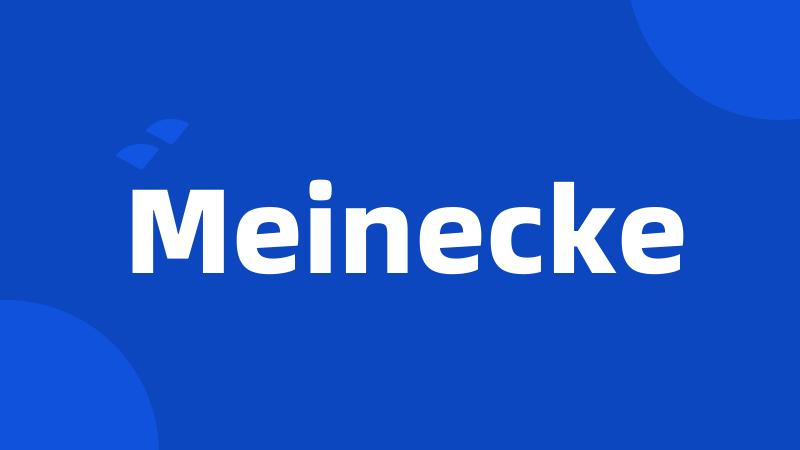 Meinecke