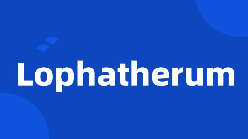 Lophatherum