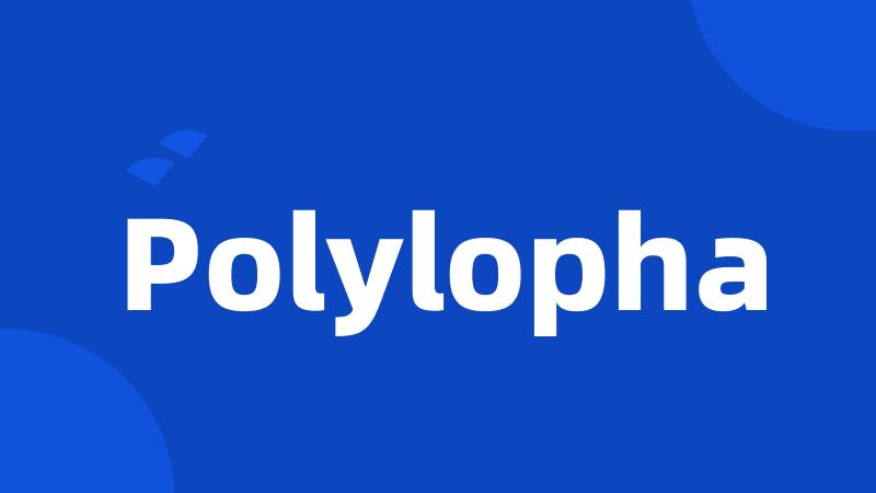 Polylopha