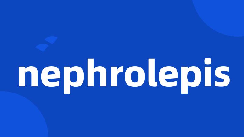 nephrolepis