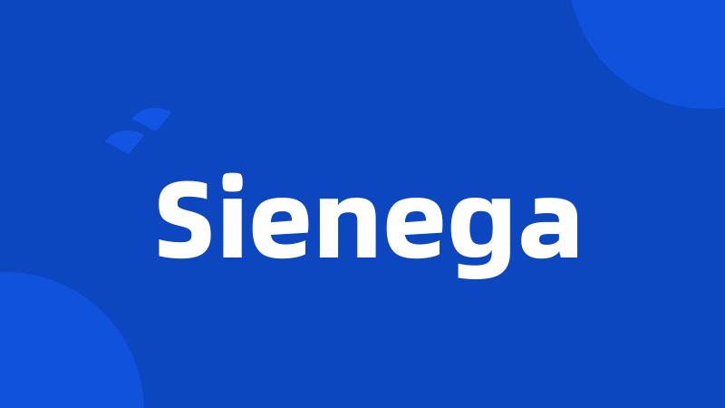 Sienega