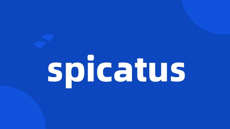 spicatus