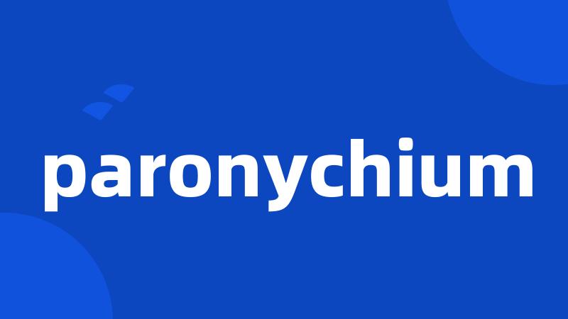 paronychium