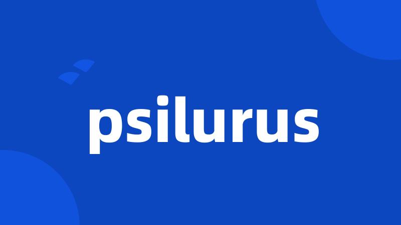 psilurus