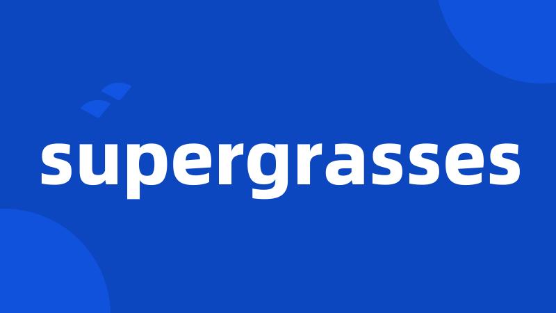 supergrasses