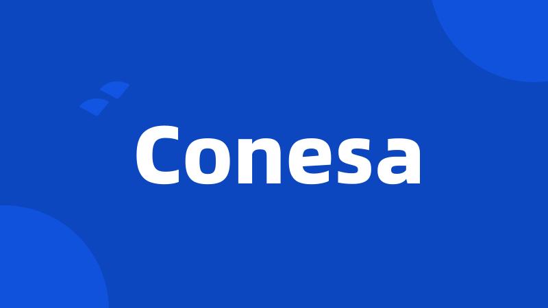 Conesa