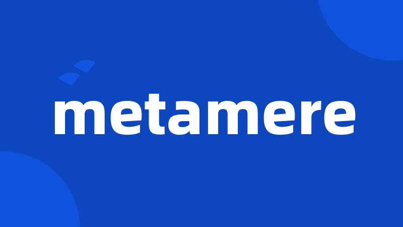 metamere