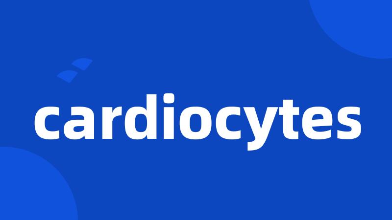 cardiocytes