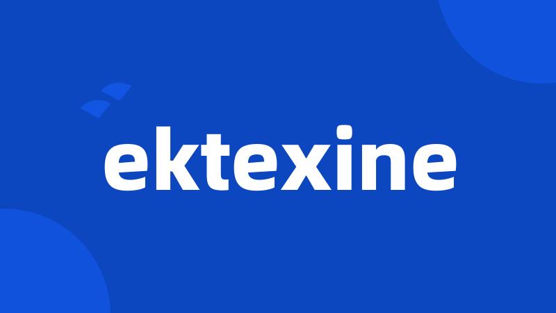 ektexine