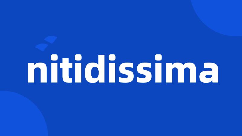 nitidissima