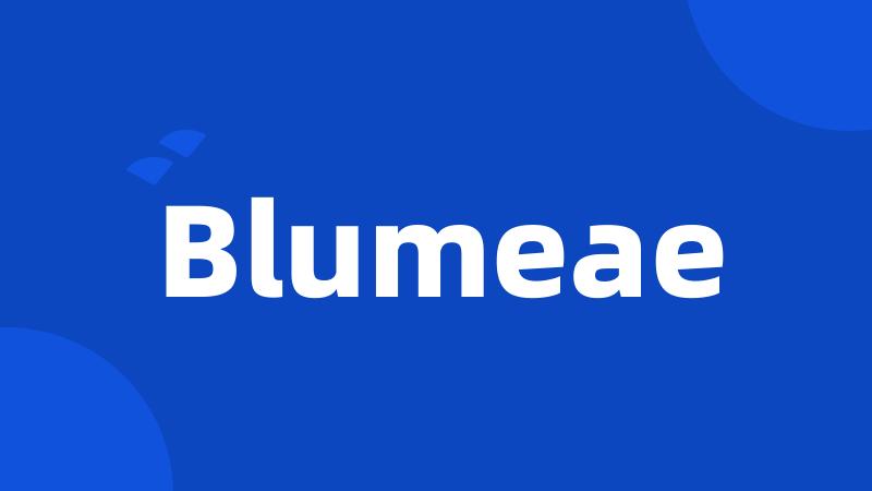 Blumeae