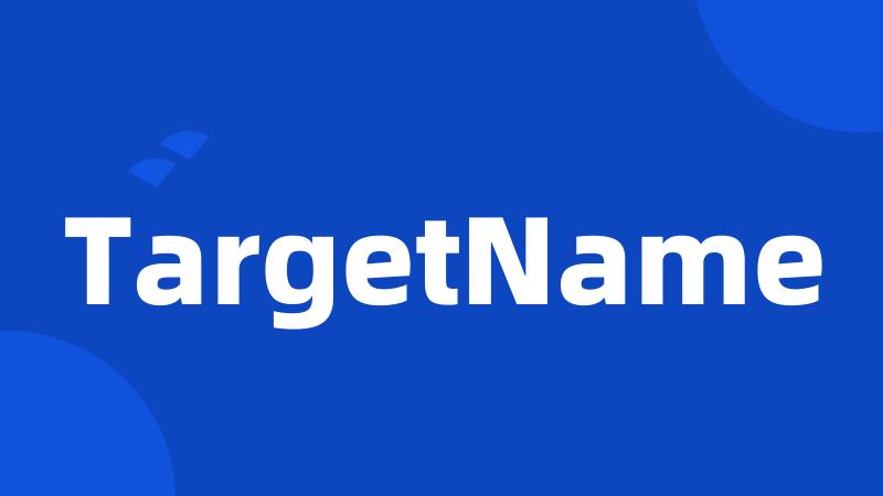 TargetName