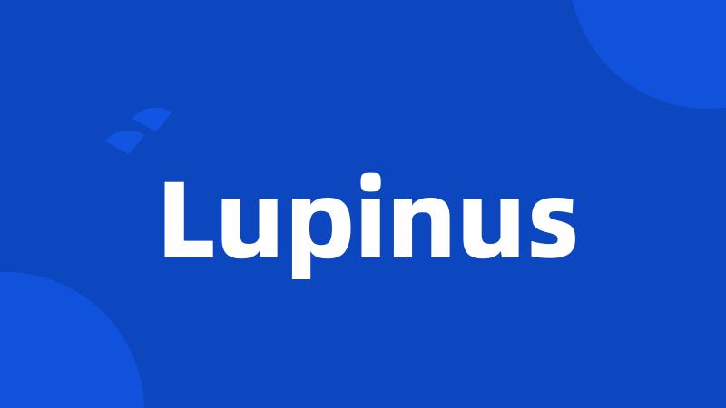 Lupinus