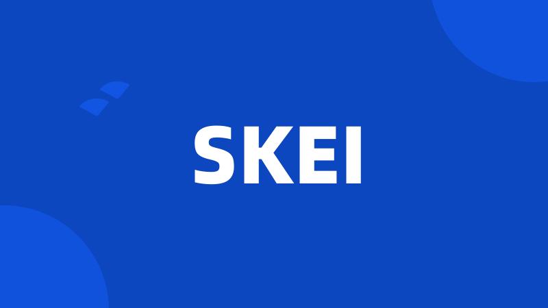 SKEI