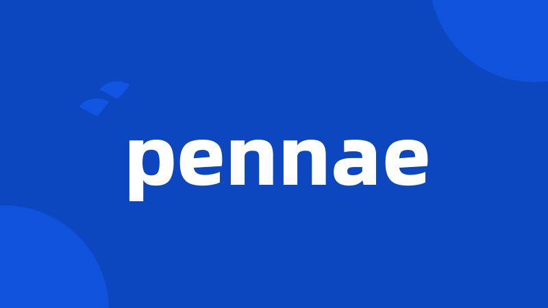 pennae