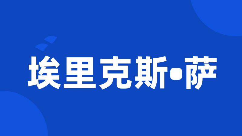 埃里克斯•萨