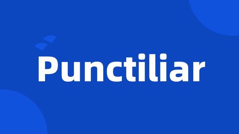 Punctiliar