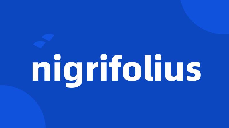 nigrifolius