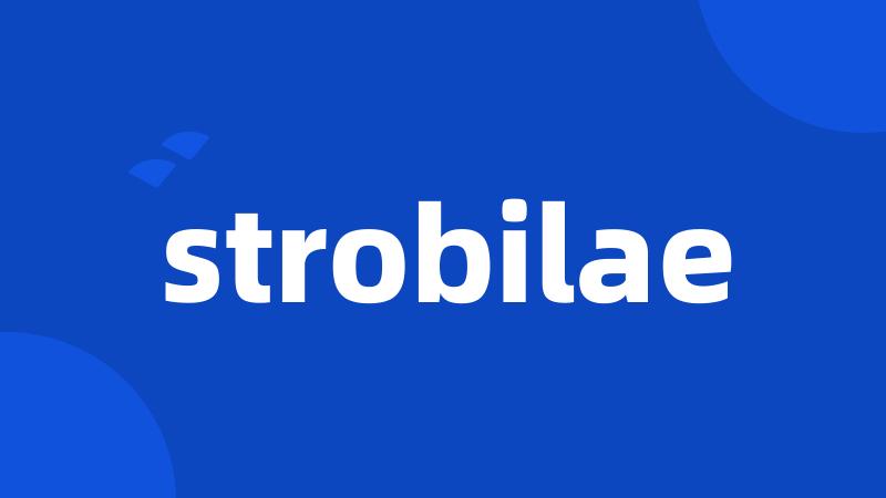 strobilae