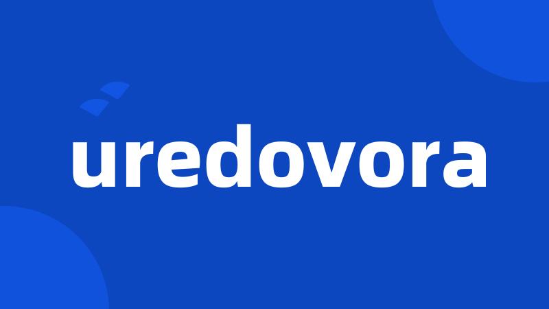 uredovora