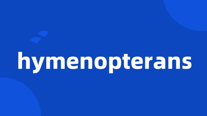 hymenopterans