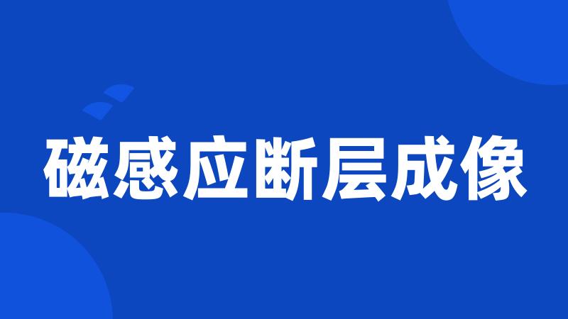 磁感应断层成像