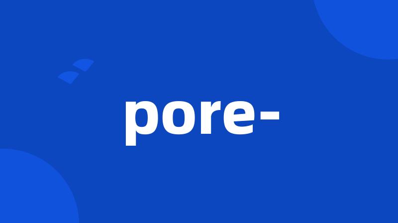 pore-