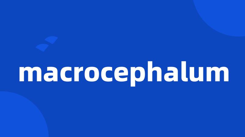 macrocephalum