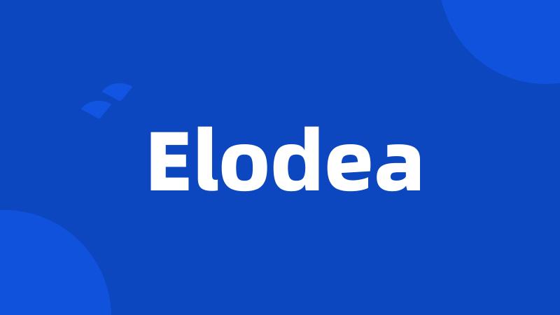 Elodea