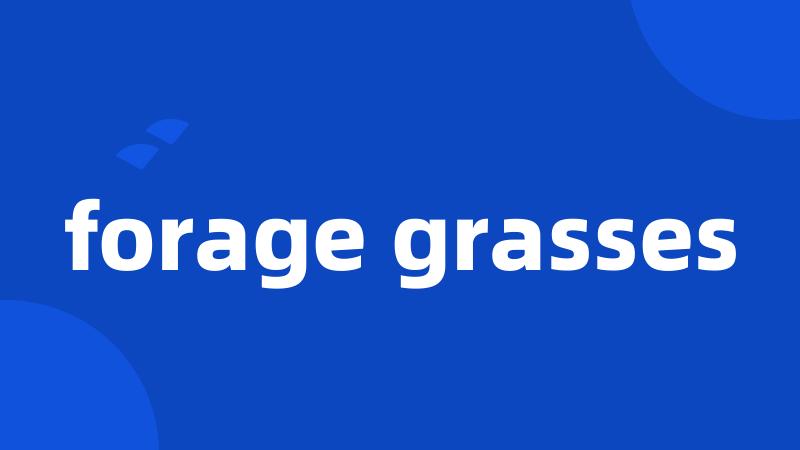 forage grasses