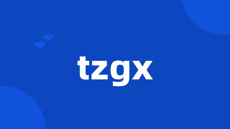 tzgx