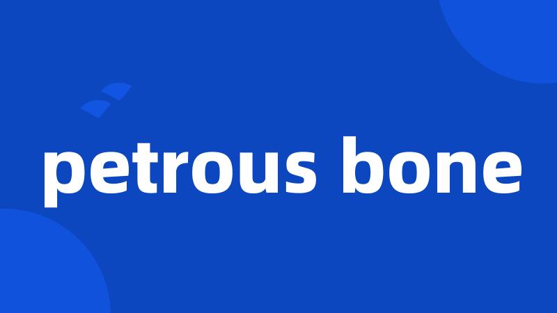 petrous bone