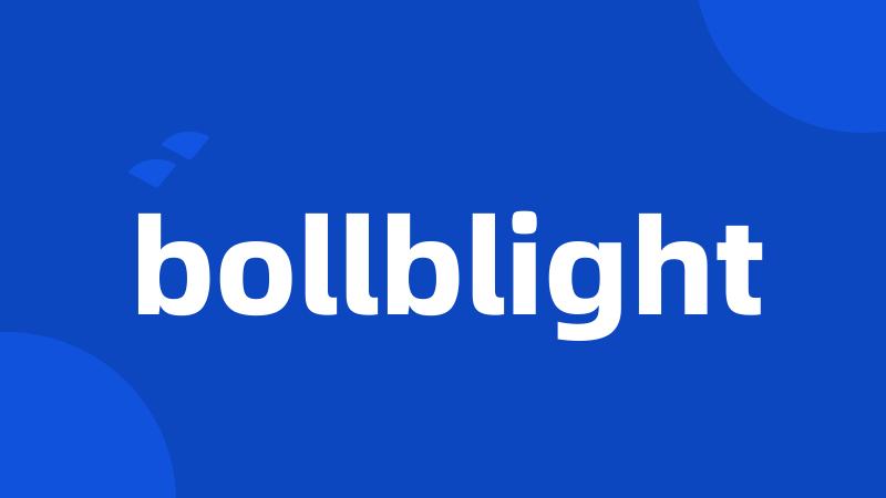 bollblight