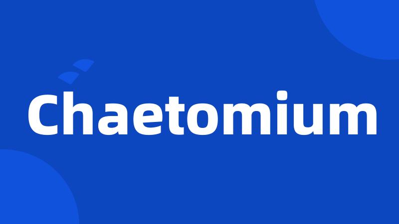 Chaetomium