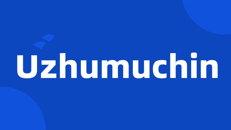 Uzhumuchin