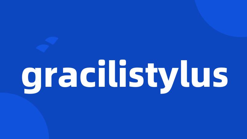 gracilistylus